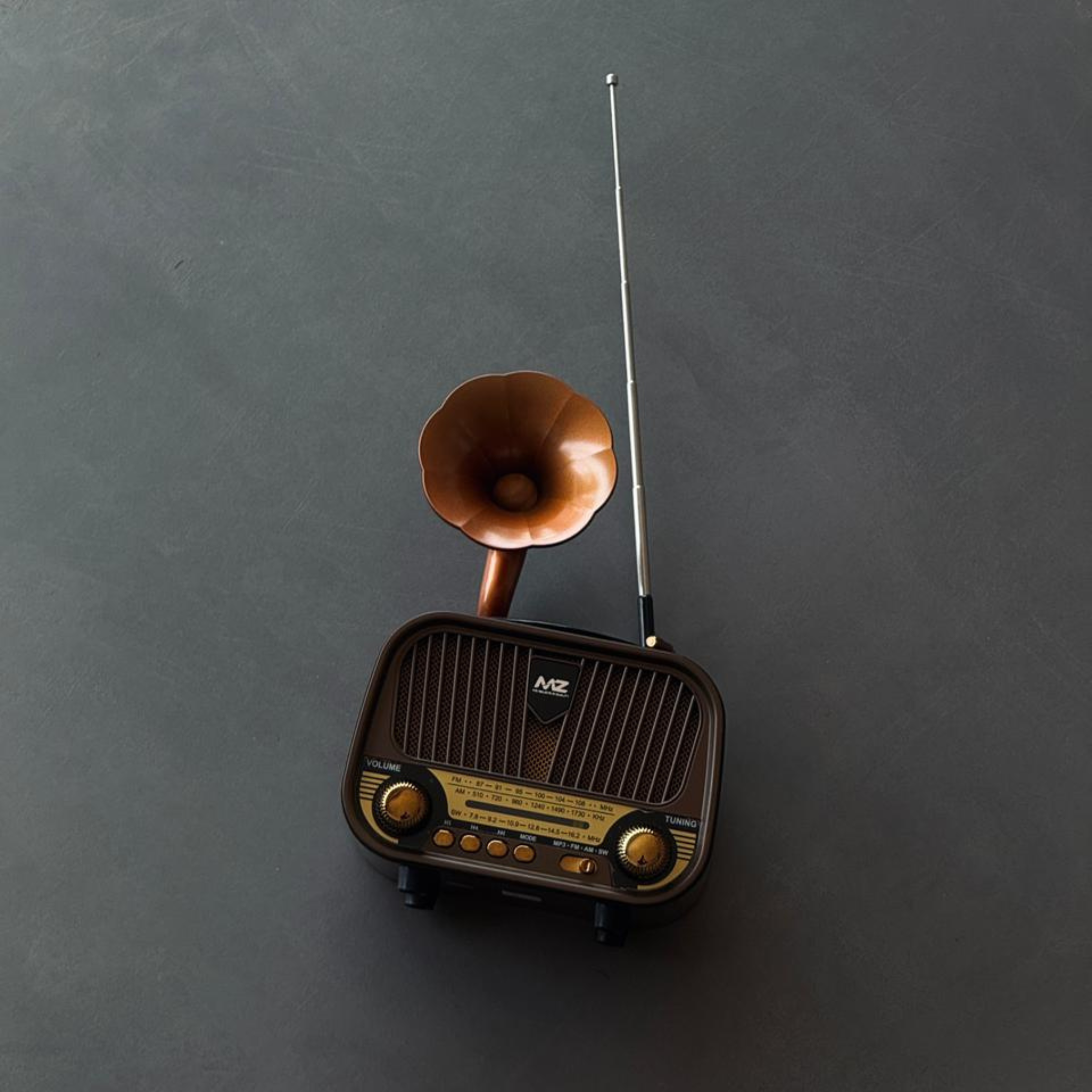 MZ Series A Retro Radio Speaker – Classic Look, Modern Sound | Pwolimarket