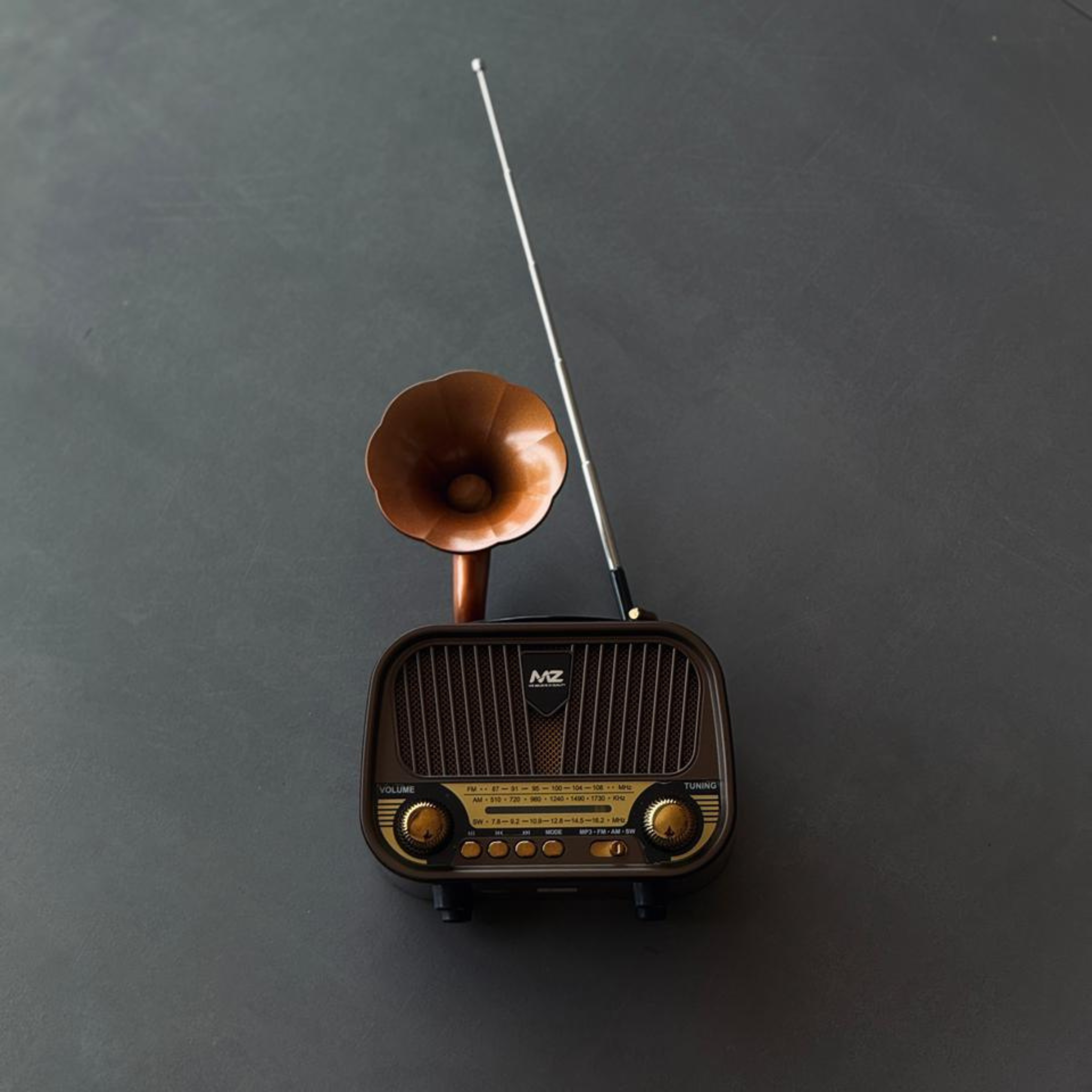 MZ Series A Retro Radio Speaker – Classic Look, Modern Sound | Pwolimarket